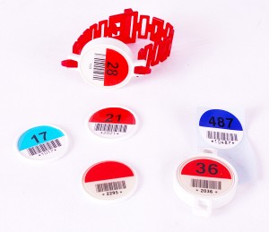 ��ǰ ������